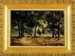 Shadow At Edge Of Foster's Grove by James Everett Stuart