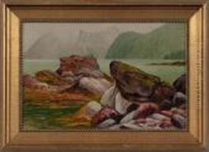 Rocks, East Shore Of Drier Bay- Knights, Highland, Ak by James Everett Stuart