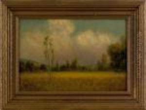 The Golden Grain Near Chico, California