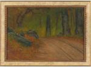 Roadway Near The Village, Yosemite National Park, Cal.