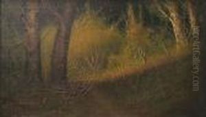 Near Spreckles Lake, Golden Gate Park, San Francisco