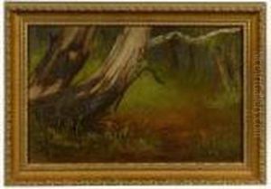 Golden Gate Park, San Francisco Cal by James Everett Stuart