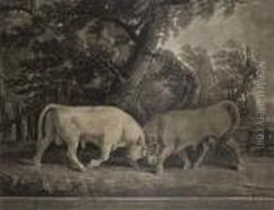 Bulls Fighting by George Stubbs