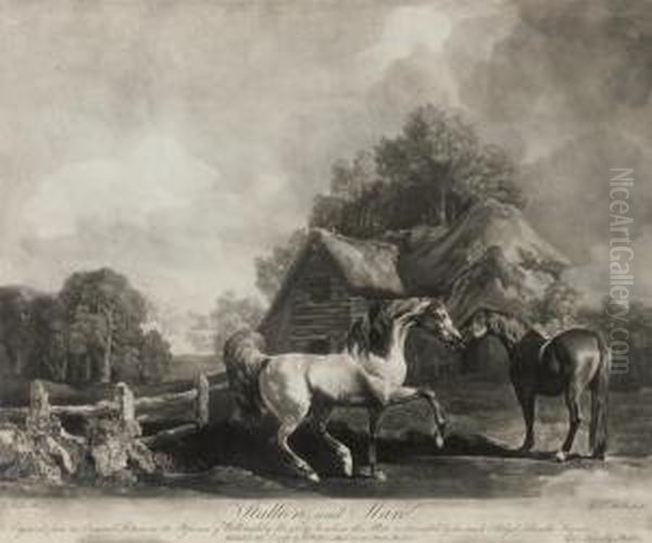 Stallion And Mare - view 1