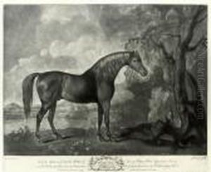 Brown Horse Mask by George Stubbs