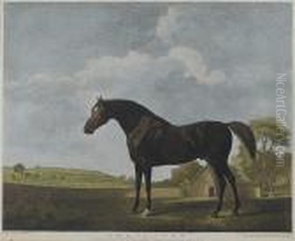 Protector (lennox-boyd 102) - view 1