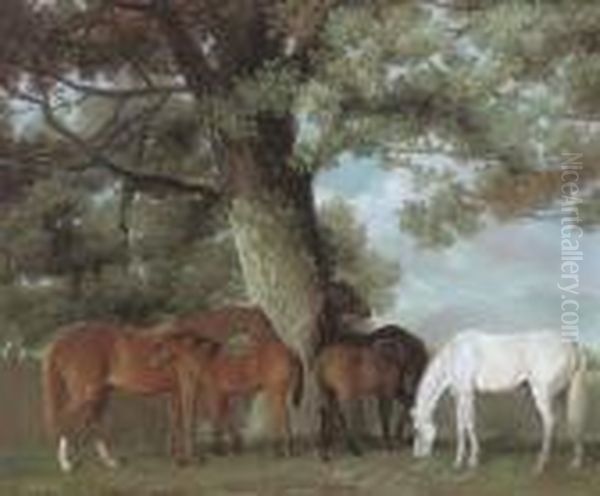 Mares And Foals Beneath A Large Oak Tree - view 1