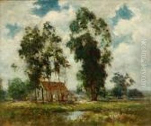 Summer Morning by Dedrick Brandes Stuber
