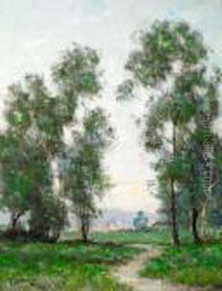 Landscape With Winding Path - view 1