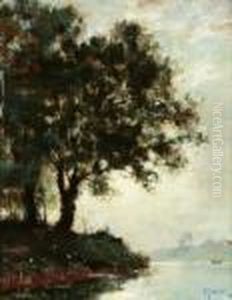 Moonlight by Dedrick Brandes Stuber