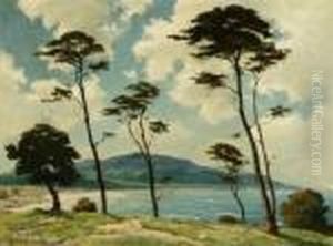 Monterey Coastal by Dedrick Brandes Stuber