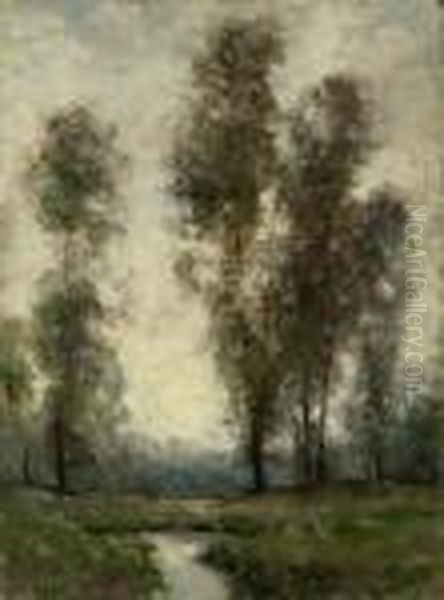Stream In Eucalyptus Landscape - view 1