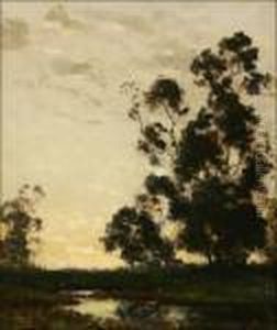 Eucalyptus In Atmospheric River Landscape by Dedrick Brandes Stuber