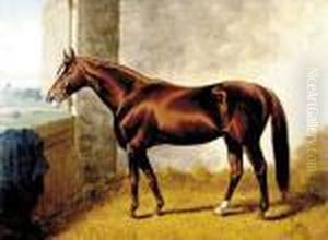 Bay Horse In Stall by Henry Stull