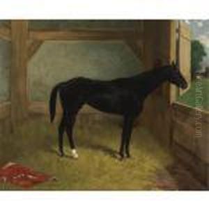 Black Horse by Henry Stull