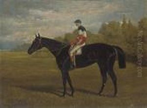 A Black Racehorse With Jockey Up
