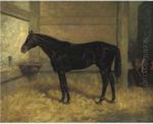 Hastings In A Stable Hastings In A Stable