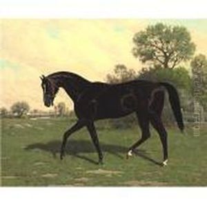 Mr. Henry Young's Strathmore by Henry Stull