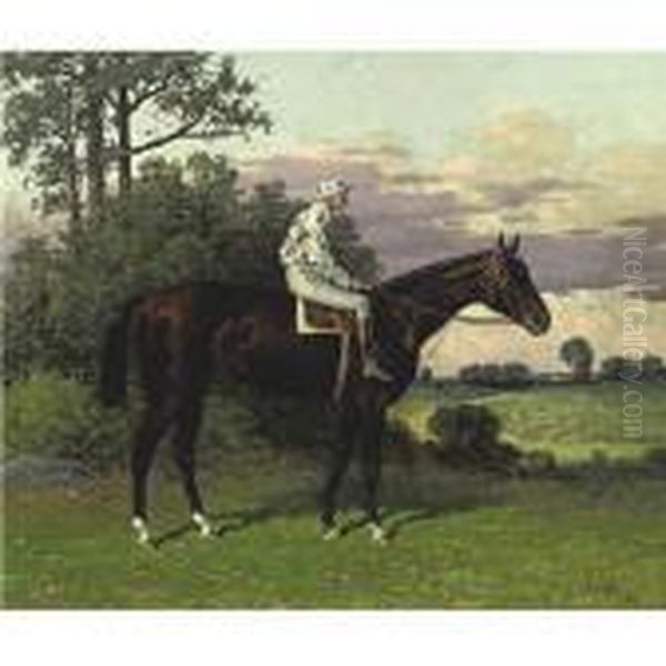 Domino With Jockey Up - view 1