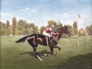 The Race Horse