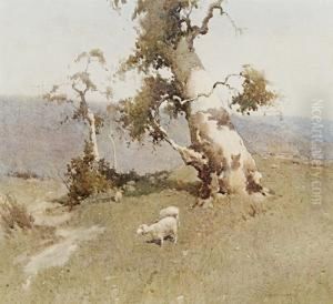 The Leaning Gum by Reginald Ward Sturgess