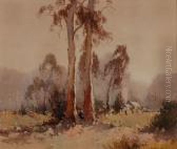 Twin Gums - view 1