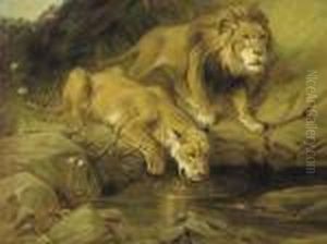 At The Watering Hole At The Watering Hole