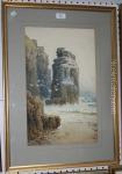 Coastal Views With Stacks And Colonies Of Gulls - view 1