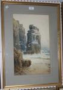 Coastal Views With Stacks And Colonies Of Gulls by Arthur Suker