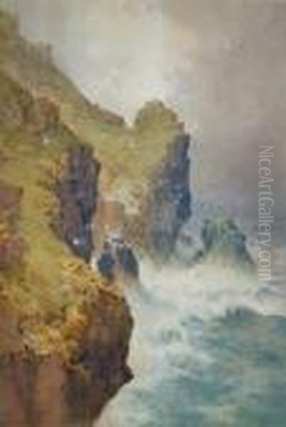 St Agnes Coast, North Cornwall - view 1
