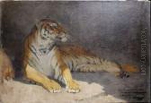 Tigre Couche - view 1