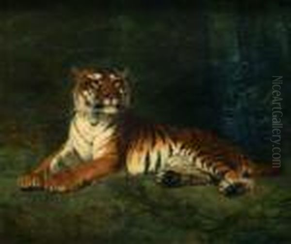 "tigre Allonge" - view 1