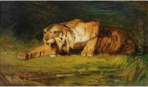 Tigre Pret A Bondir