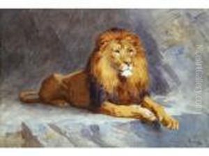 Tigre Couche Et Lion Couche