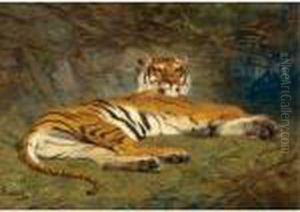 The Recumbent Tiger by Gustave Surand