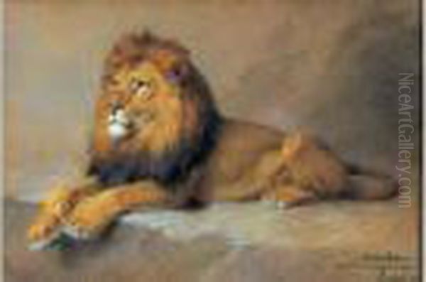Lion Couche - view 1