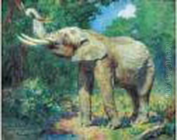 Elephant - view 1