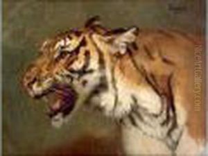Tigre