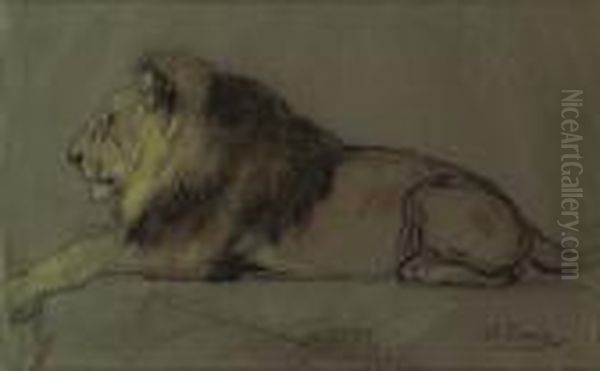 Etude De Lion Couche - view 1