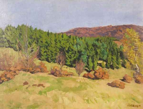 Izvora in Autumn 1909 - view 1