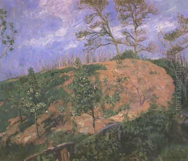 Landscape in Spring 1905 - view 1