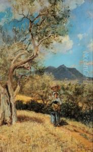 Fanciulla Con Cesto Nei Campi Della Pallanzana