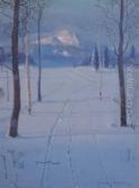 Tracks In Snow - view 1