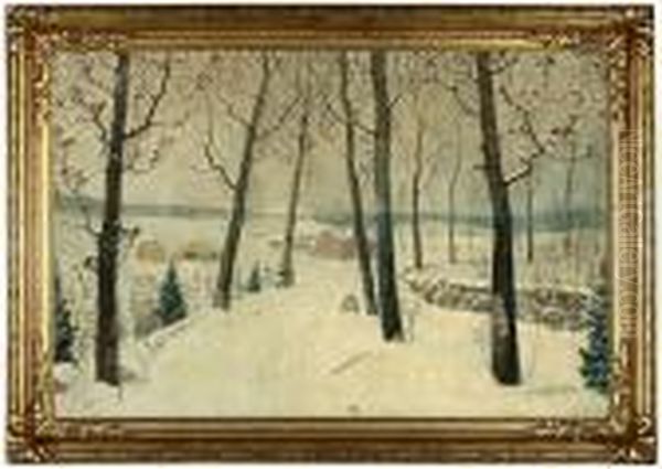 A Road Through Trees In Early Spring Snow - view 1