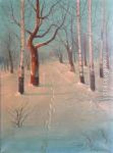 Path Home Through The Snow