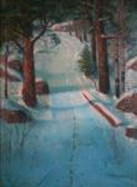 Forest - view 1