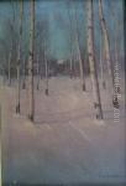 Pathway Through The Snow - view 1