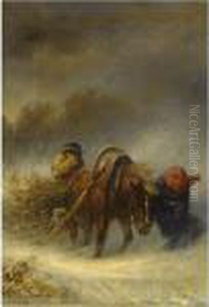 The Storm - view 1