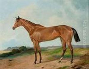 Rennpferd In Weiter Sommerlandschaft by Nikolai Egorovich Sverchkov