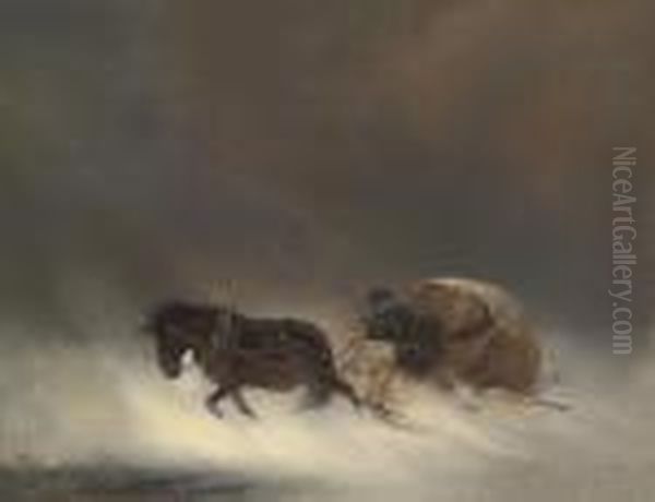 Snowstorm - view 1